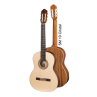 guitare Cristal SM 10