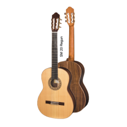 guitare Regun SM 20 par Hora
